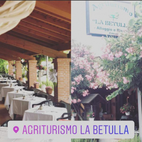 Agriturismo La Betulla